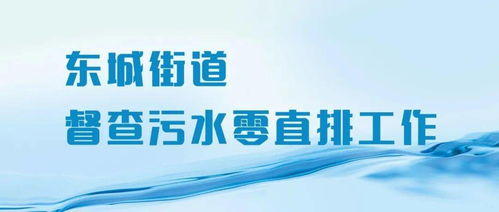 东城街道扎实推进“污水零直排”督查工作，助力“麦享零道”环境提升
